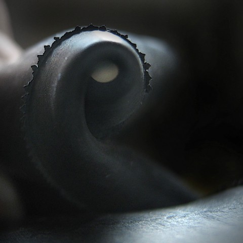 Butyl Tube